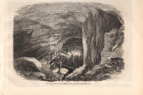 Stampa antica mammoth - stampa, cave