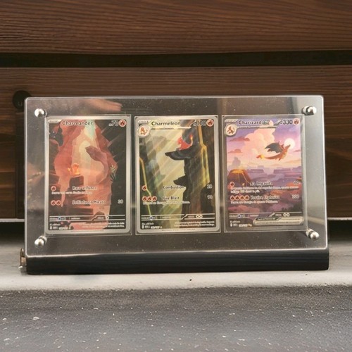 Stand acrilico carte raw - carte,