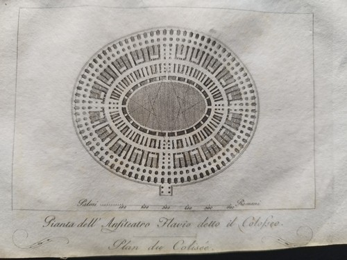 Antica stampa 1838 pianta - stampa,