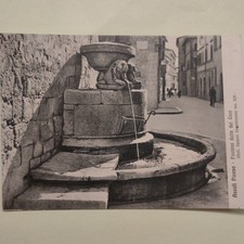 ASCOLI PICENO - FONTANA DETTA DEI CANI -  VECCHIA CARTOLINA BIANCO E NERO