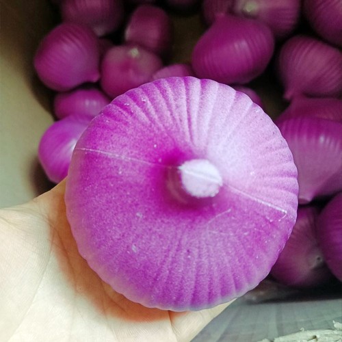 Plastic garlic tomato pepper - tomato,