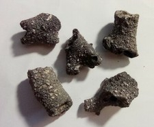 Folgorite minerale collezione pietre dure naturali cm.4/5