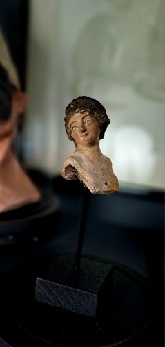 Testa pastore antico - testa,
