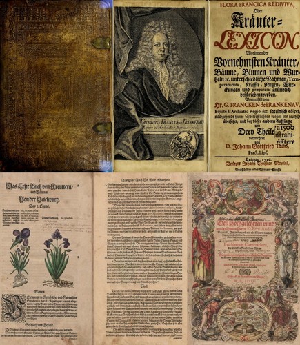 Most old books herbs - most,