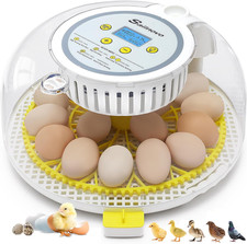 Eggs incubator for - eggs,