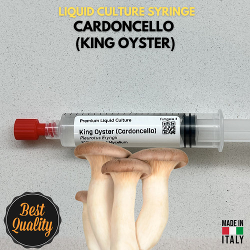 Cultura liquida cardoncello - cultura,