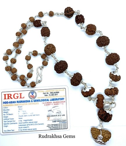 Collana sidha siddha sidh - siddha,