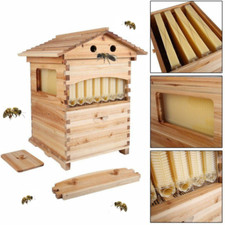 Arnie automatiche Casetta per alveari Casetta per apicoltura con 7 telai per api