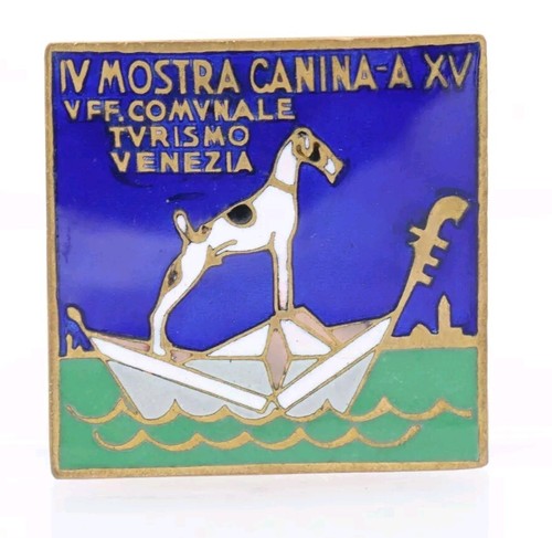 Rara spilla mostra canina - rara,
