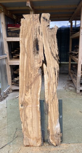 Coppia tavole legno di - legno,