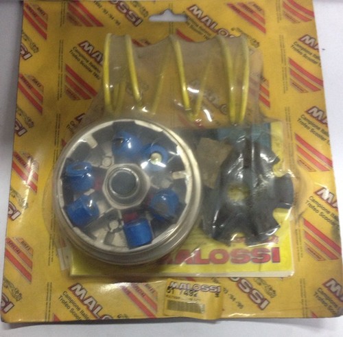 517492 variatore multivar - 517492,