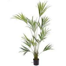 Palmier Kentia Artificiel