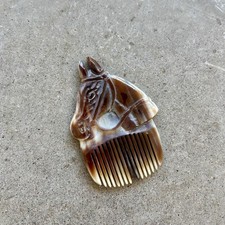 Sirena Canzone EQUINE HORSE