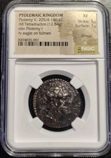 Regno Tolemaico NGC XF 5/5