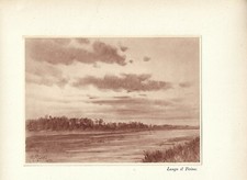 Stampa antica VIGEVANO PAVIA paesaggio lungo il Ticino 1932 Old antique print