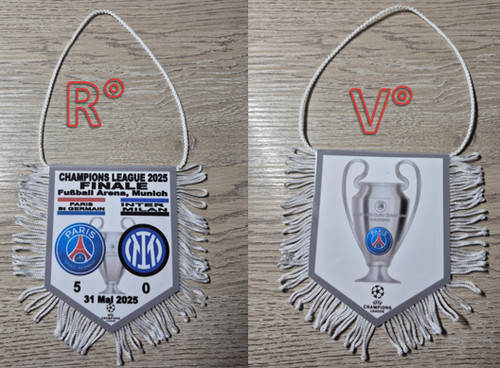 Fanion 9x11cm champions - champions, league