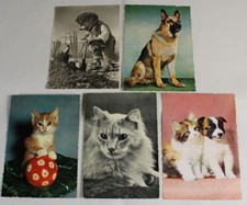 C11/ 4 Cartoline Cani E Gatti