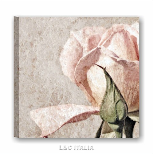 Rose vintage quadro su - vintage,