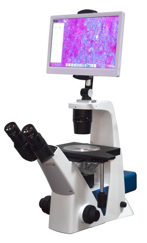 Microscopio celle vive - a,