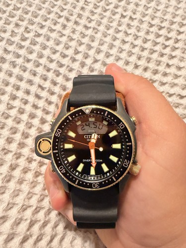 Mint citizen promaster - citizen,