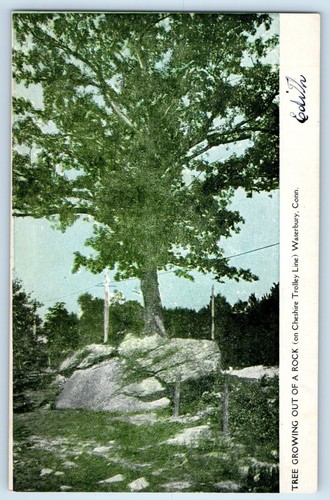 C1905 waterbury connecticut - waterbury,