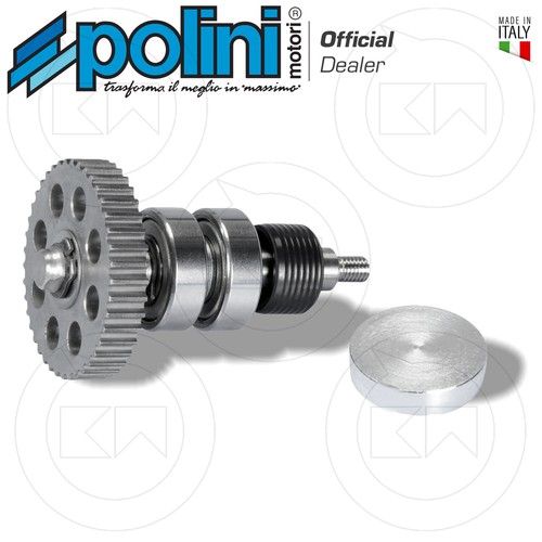 Kit revisione polini pompa - polini,
