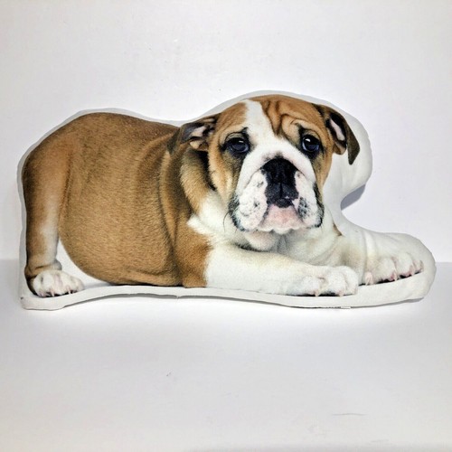 Bulldog puppy photo pillow - bulldog,
