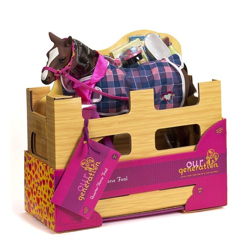 Quarter horse foal for - quarter,