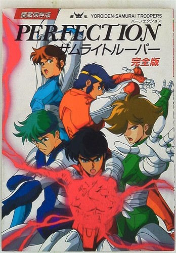 Ronin warriors samurai - warriors,