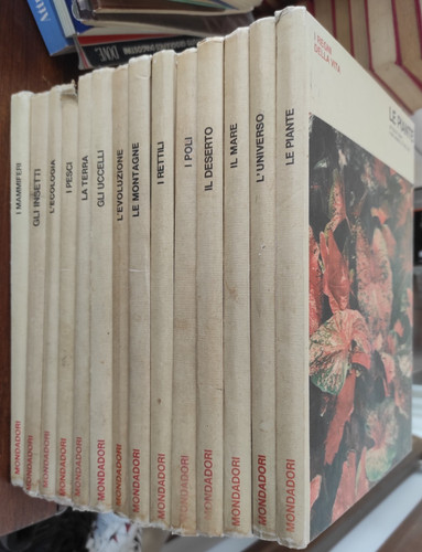 Enciclopedia regni della - 🌎enciclopedia,