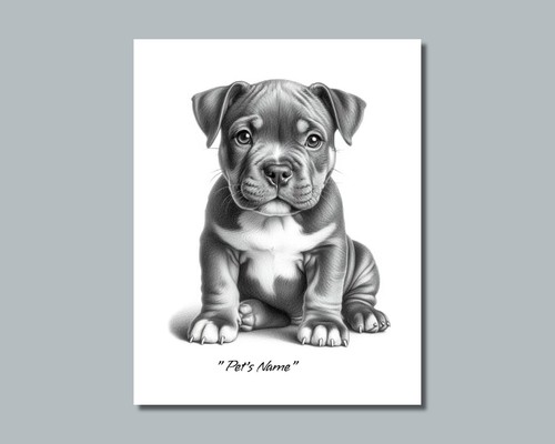 Foto personalizzata pit bull - foto,