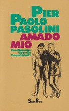 Buch: Amado mio, Pasolini