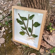 Vetrina il tuo lato artistico