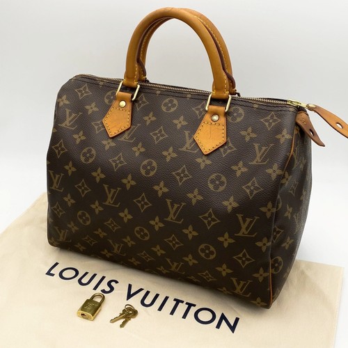 Autentica borsa louis vuitton - louis,