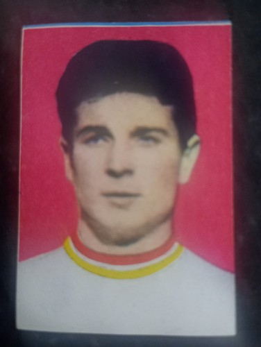 Figurina calciatori lampo - figurina,