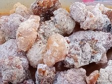 piñon pinon pine sap resin