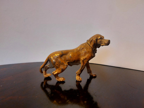 Scultura cane bronzo - scultura, in