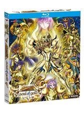 CAVALIERI DELLO ZODIACO SAINT