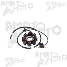 Statore magnete volano - magnete,