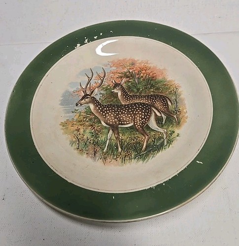 Piatti vintage bufalo cina - vintage,