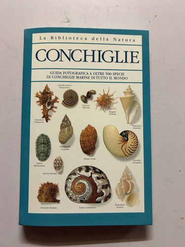 Conchiglie biblioteca della - la,