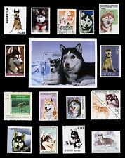 SIBERIAN HUSKY HUSKEY SLED DOG POSTAGE STAMPS x 15 + Mini Sheet - Misc Countries