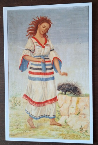 Cartolina postale contrada - postale,