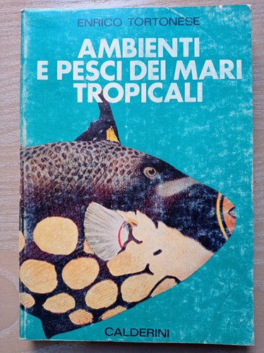 Ambienti pesci dei mari - e,