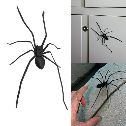 Forte magnete magnetico ragno
