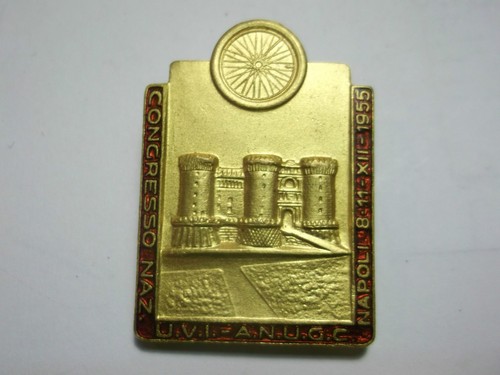 Spilla congresso nazionale - spilla,