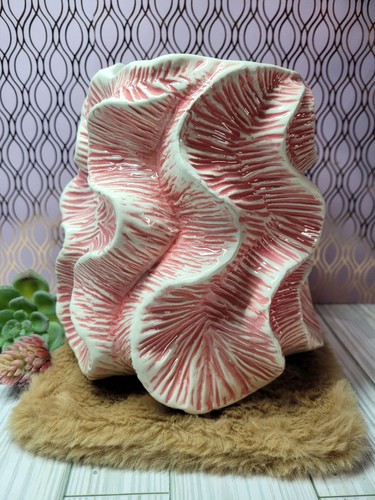 Vaso barriera corallina
