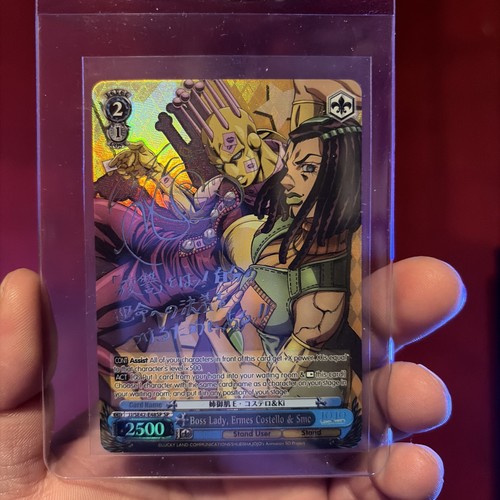 Boss lady ermes costello - lady,,
