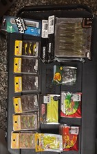 Lotto Esche Artificiali