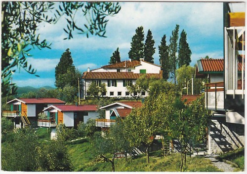 Loppiano campogiallo - loppiano,